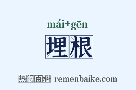 埋根是什么意思的图片